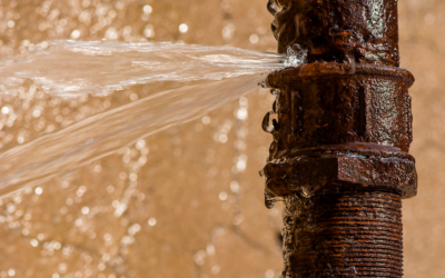 ¿Qué reclamar en caso de sufrir daños por agua en nuestro hogar o negocio?